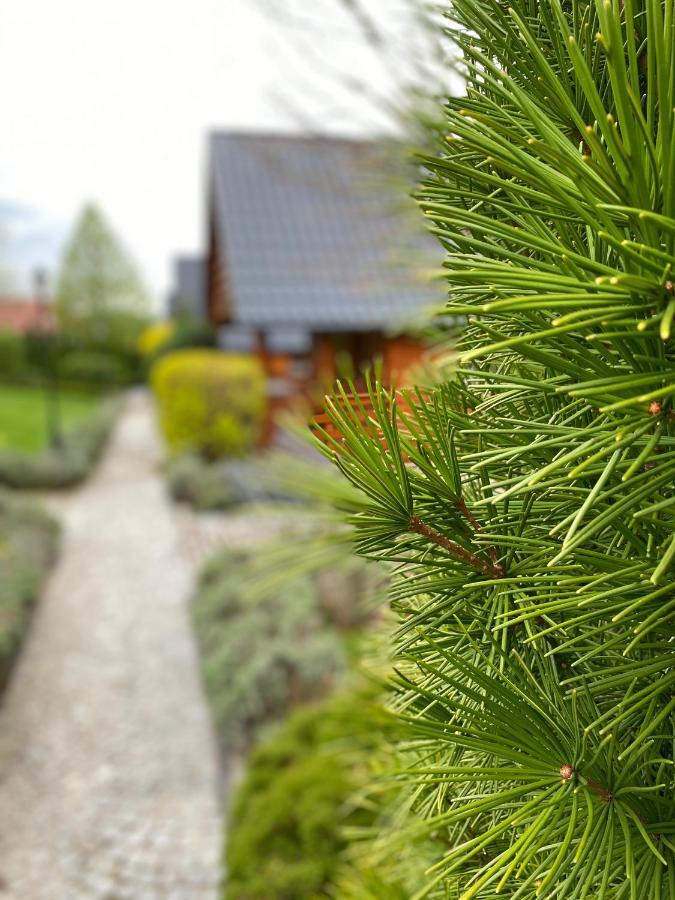 Domki U Basi Kudowa-Zdrój Kültér fotó